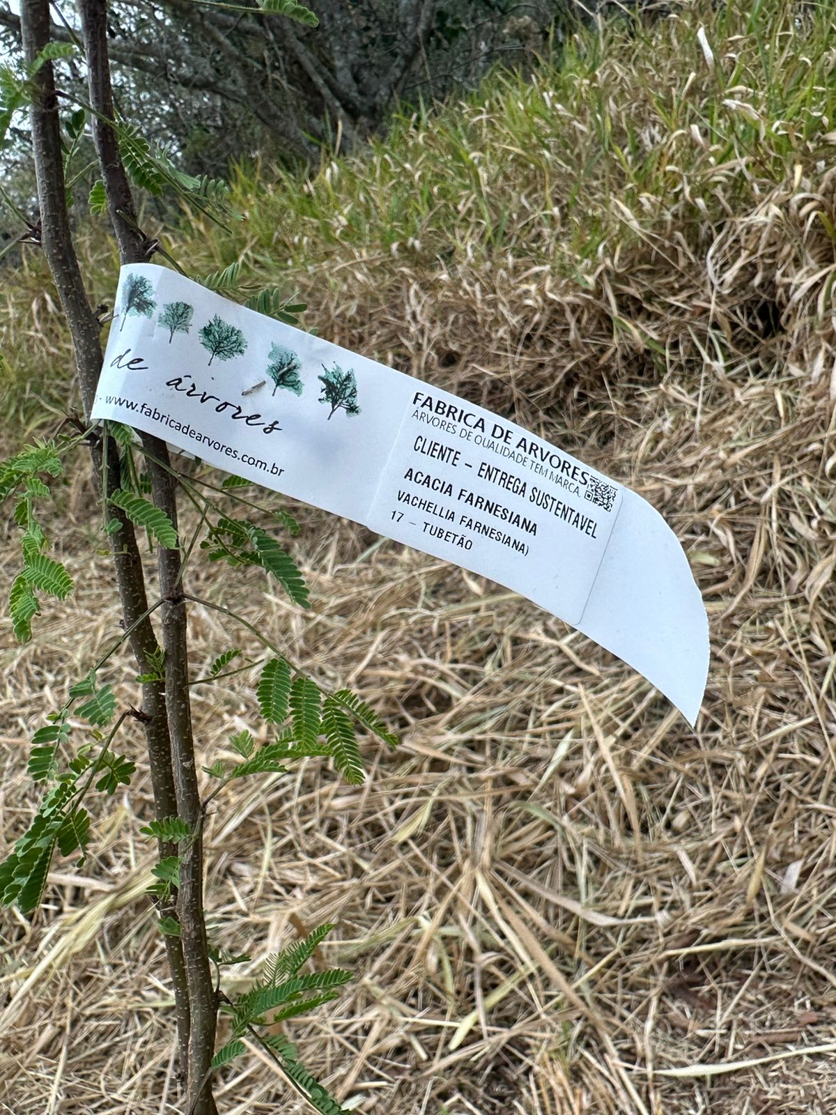 ESG