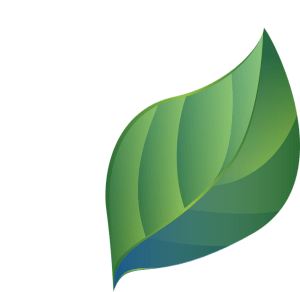compensação de CO2